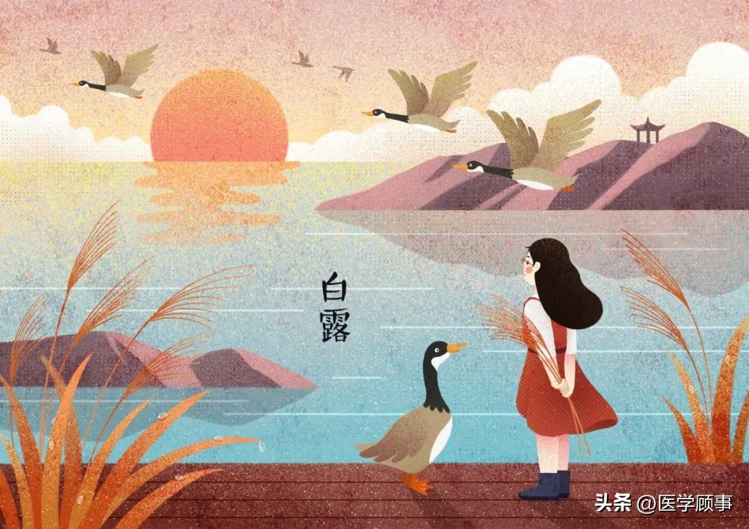 蒹葭苍苍白露为霜是写白露的吗,蒹葭苍苍白露为霜的白露是节气么