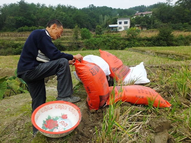 关于农村医保的事儿,农村医保实际情况