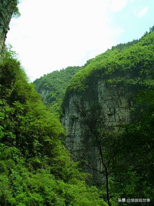 侯海洋基层风云全文免费阅读,侯海洋基层风云完整版免费听