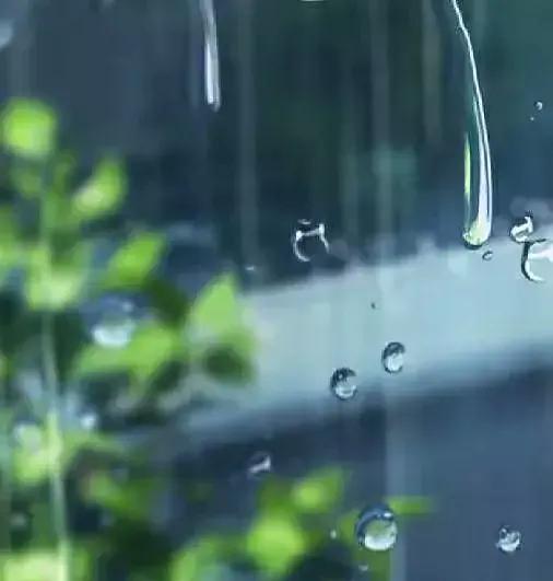 「新梦文学」同题专刊：东边日出西边雨】