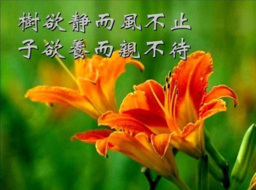 祭母文经典范文,祭母三周年文催人泪下10篇