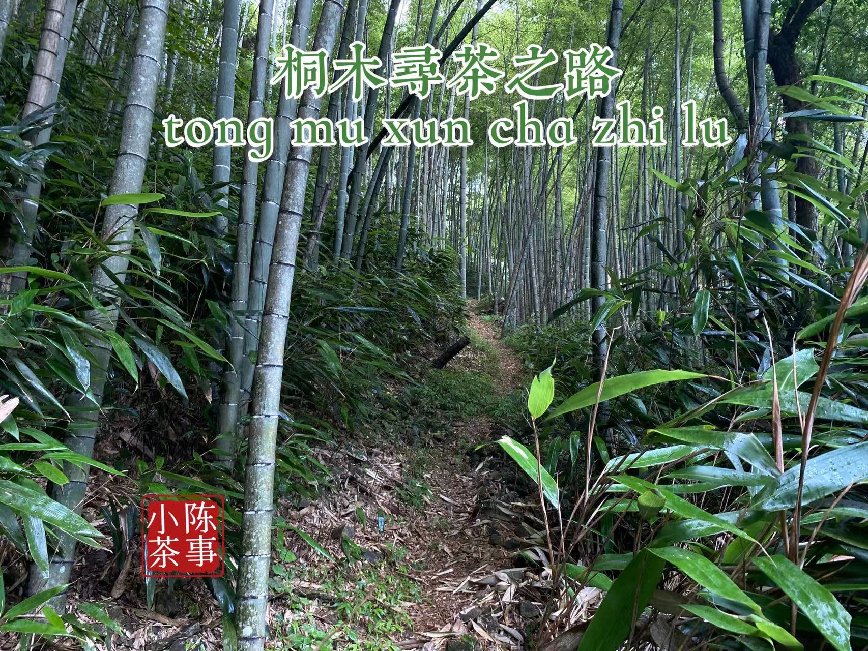 金骏眉红茶打假,网上买的金骏眉红茶真的假的