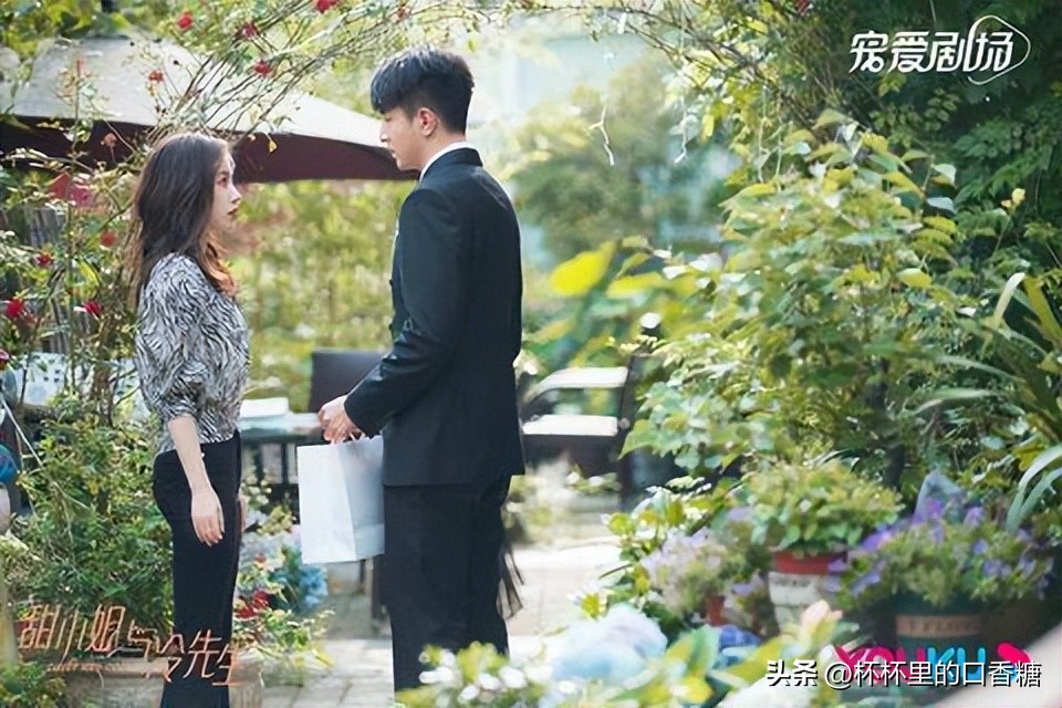 白鹿赵露思虞书欣王鹤棣吴磊,赵露思吴磊和王鹤棣白鹿