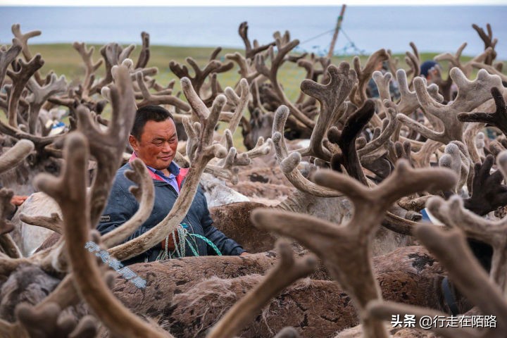 勘察加半岛土著：俄联邦视为“外邦民族”，拒绝联姻保留血统