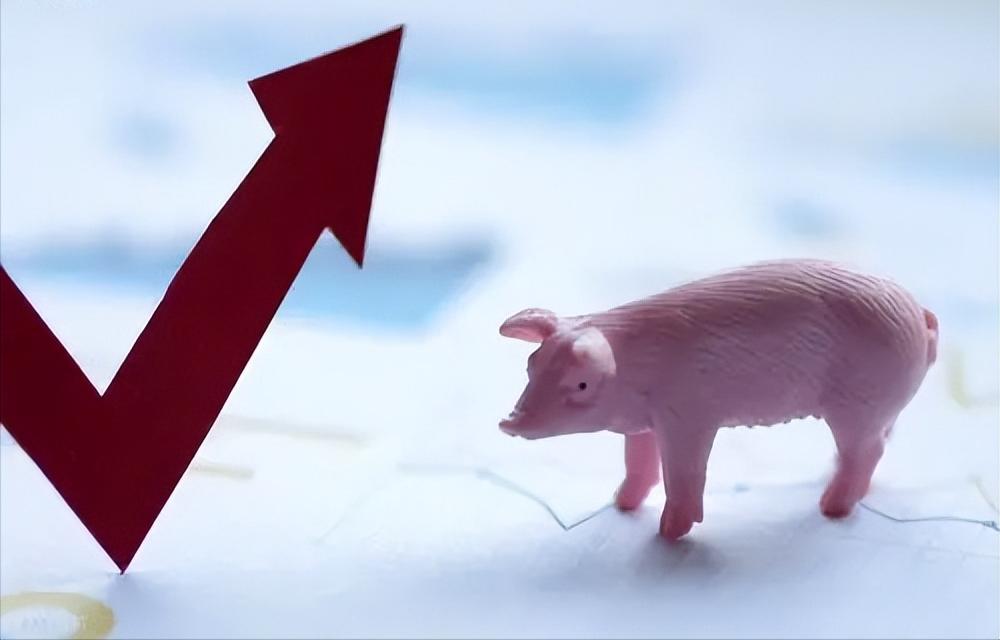 京基恶意并购康达尔在哪一年,京基集团借壳康达尔