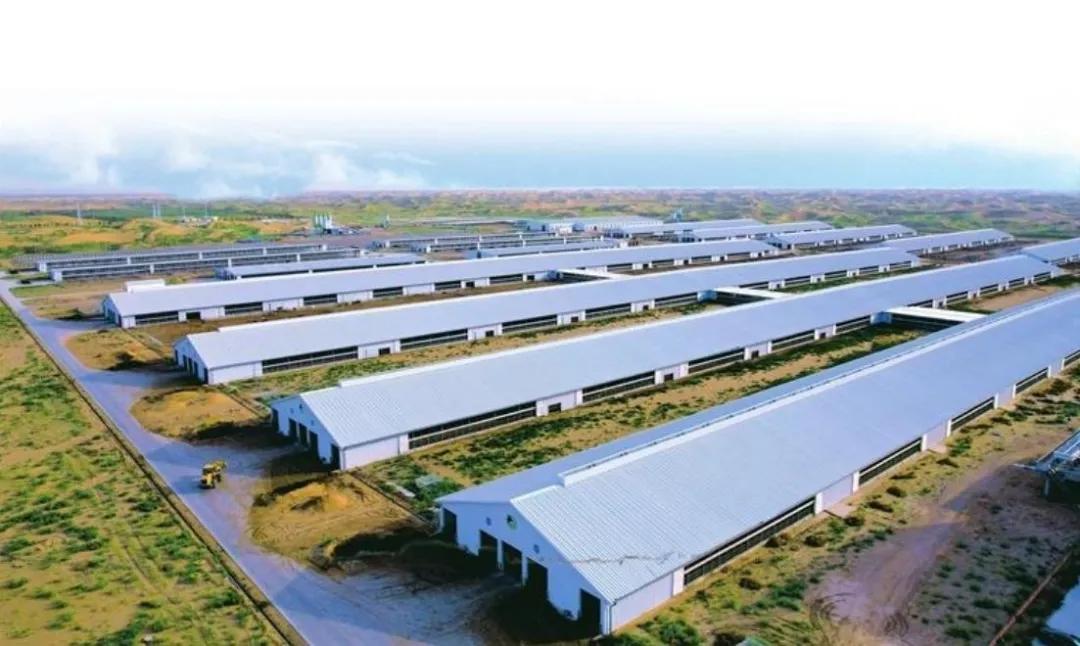 未来五年中国农业的十个黄金机遇,布局农业未来最大的红利