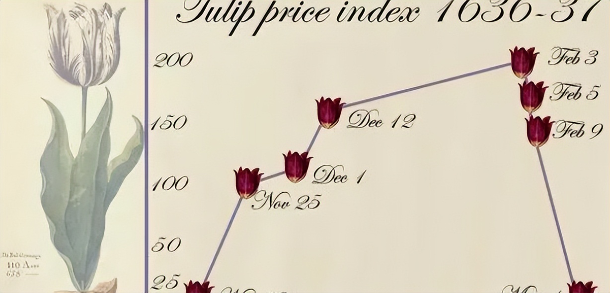 郁金香泡沫对于荷兰有何影响,荷兰郁金香泡沫最大的赢家是谁