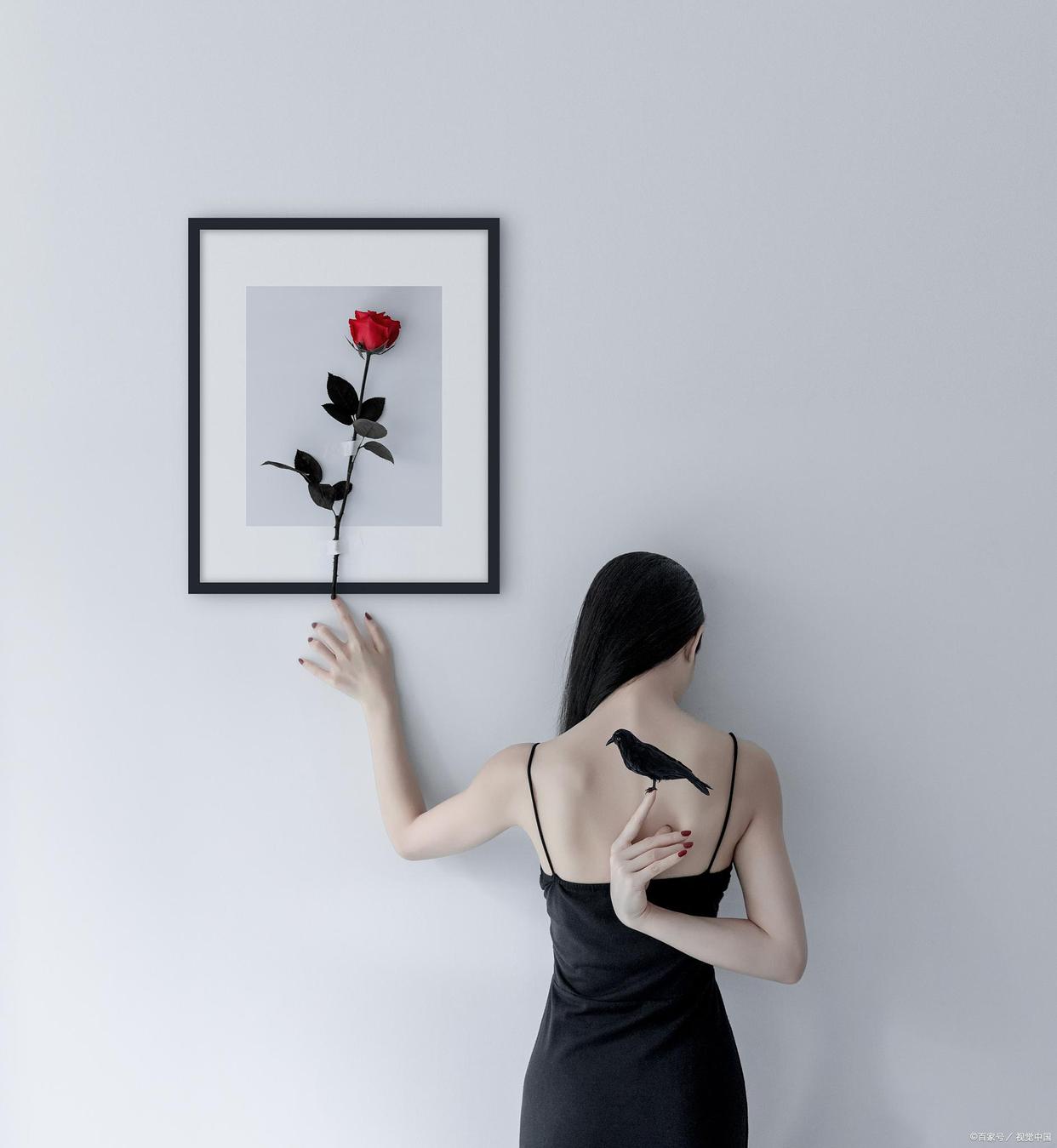 张明英法律,张明英律师