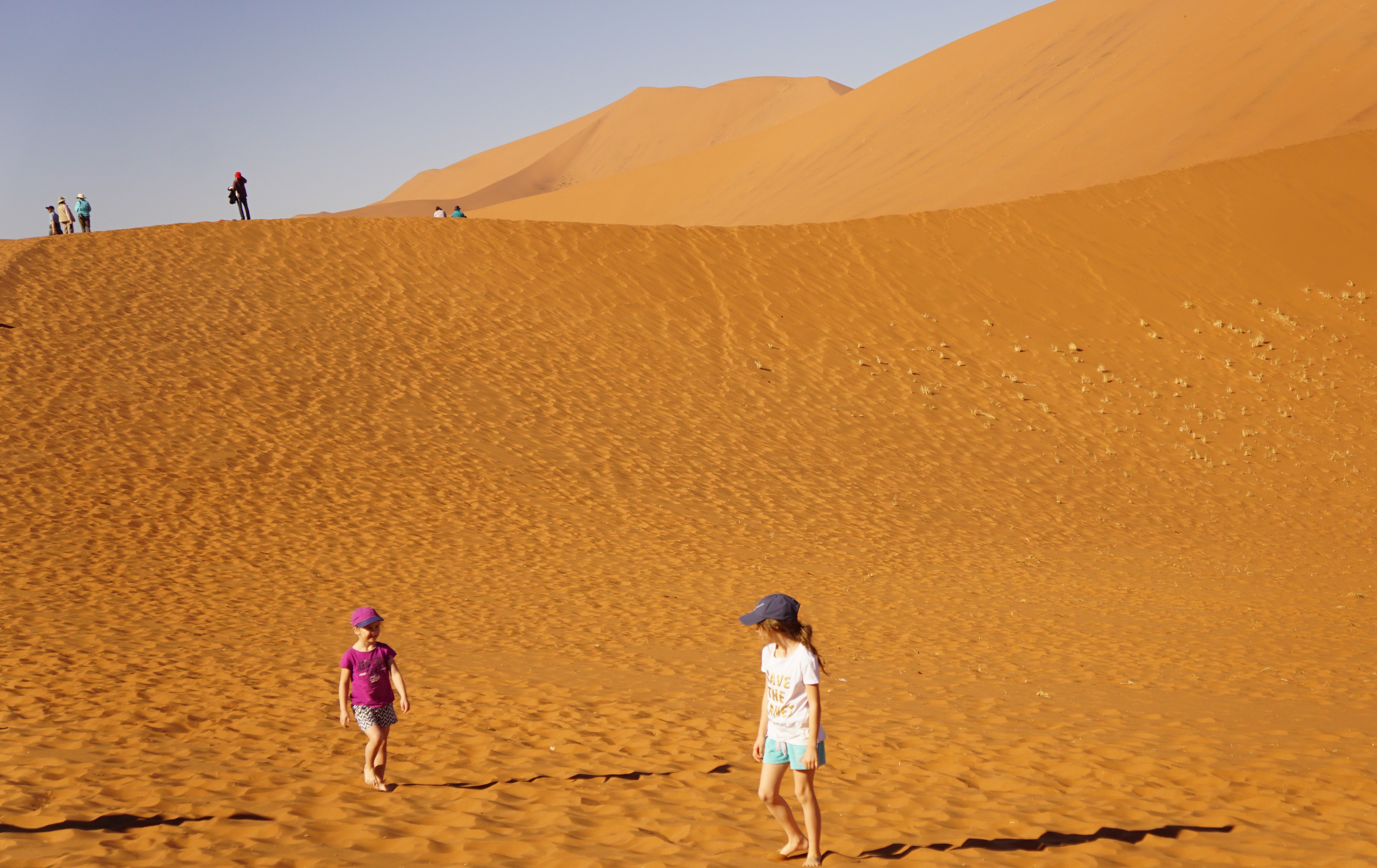 绾崇背姣斾簹绾㈣壊娌欐紶,绾崇背姣斾簹娌欐紶涔嬫梾