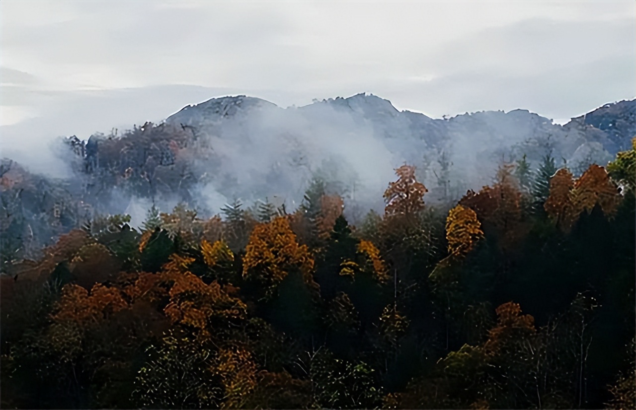 09年浙江深山半夜传来婴啼，男子买下山上矿洞，其妻调查发现端倪