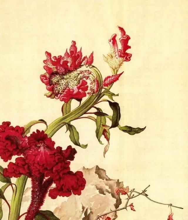 清代九大名家花鸟册页欣赏,清朝九大名家花鸟山水图