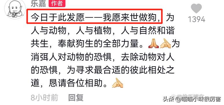 乐嘉淡出娱乐圈之后重新复出,乐嘉离开非诚勿扰现在生活的怎样