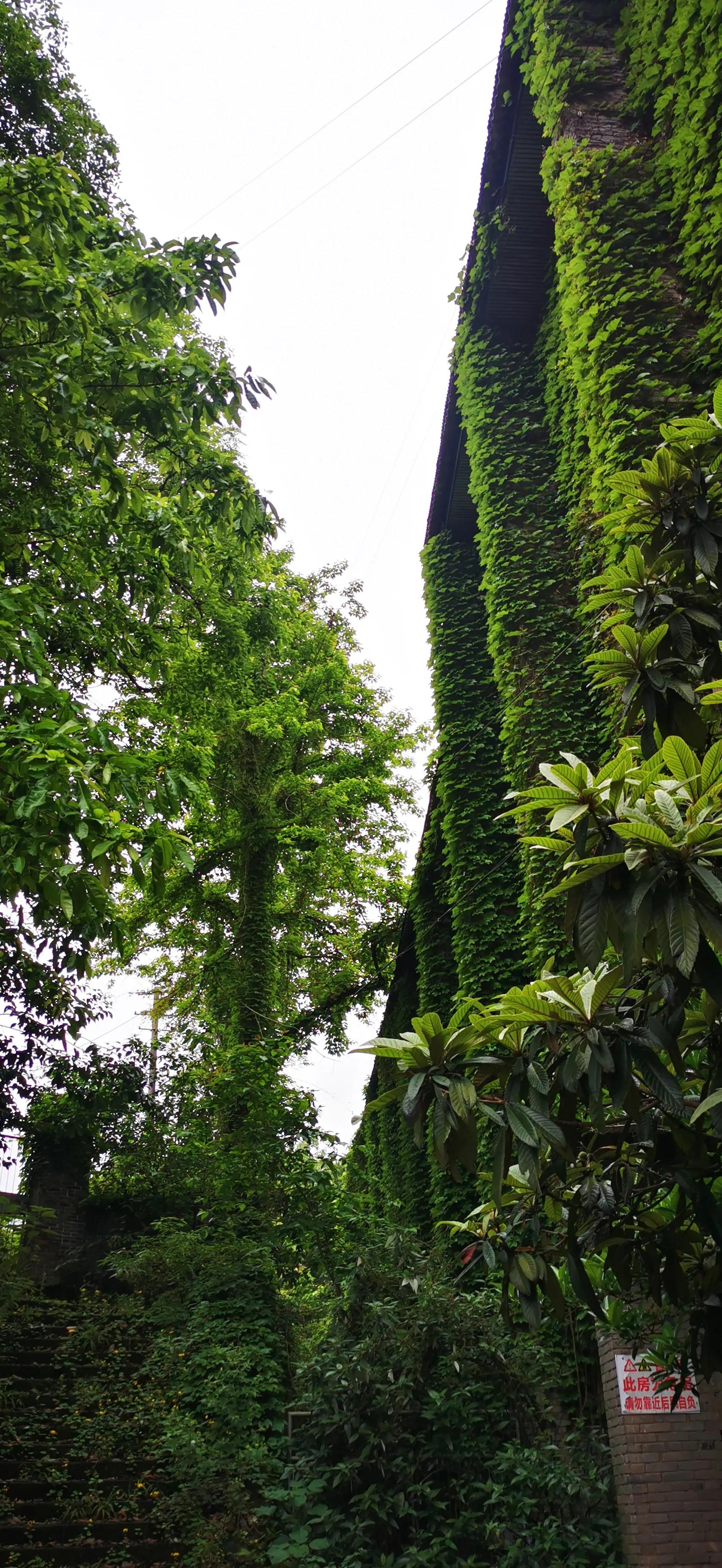 缙云山脚,缙云附近适合散步的地方