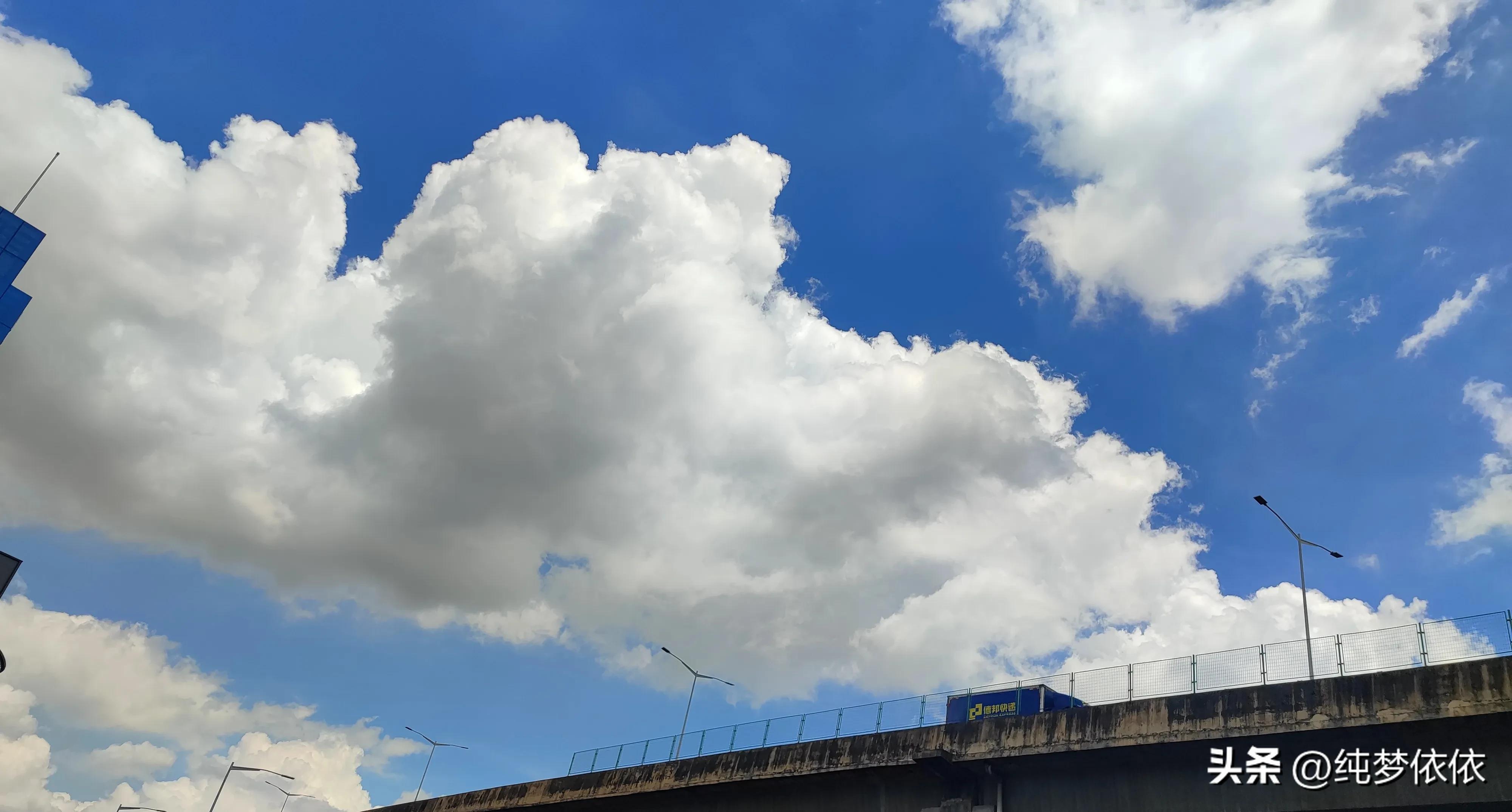 夏天随手一拍就是最好的画面,这张照片勾起了夏天的美好时光