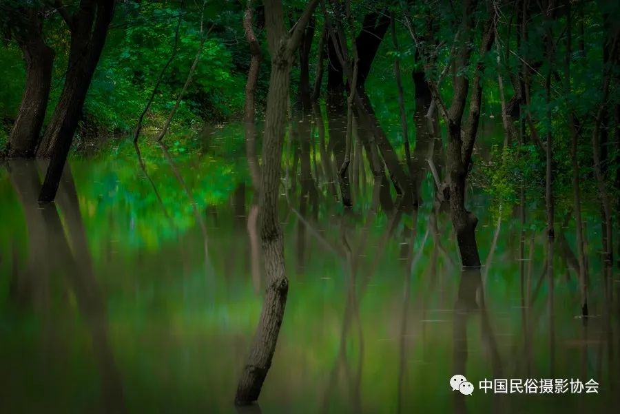 探访基地和公园,探访4am基地视频