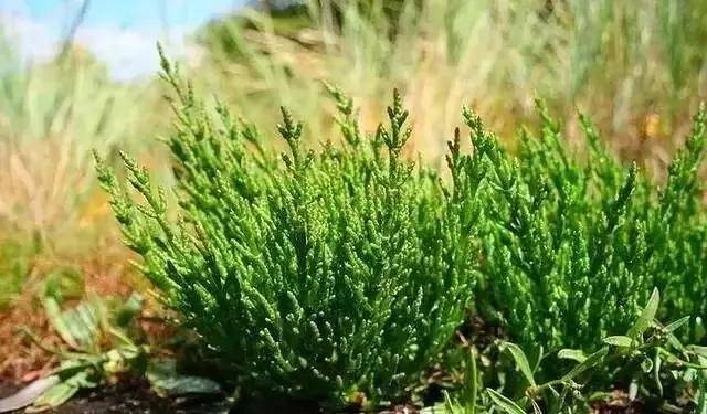 三分钟让你了解青海,对于青海你了解多少