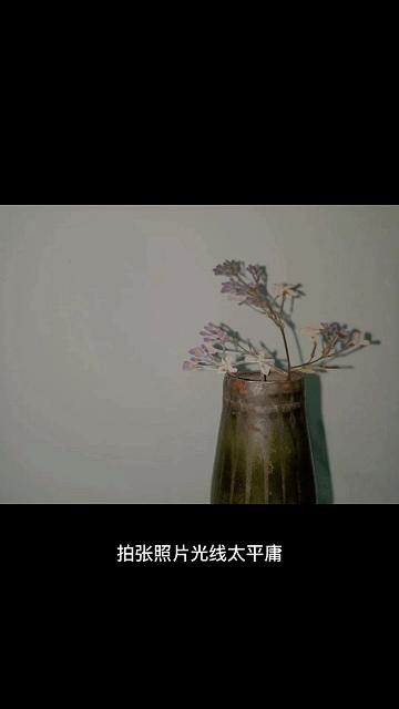 最好用的修图软件手机,修图超好看的神仙app