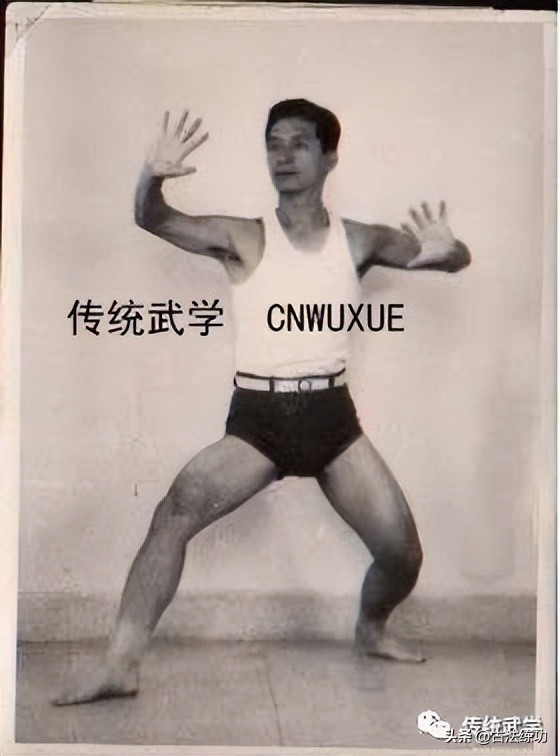 武术为什么要练桩功,武术核心力量训练进阶