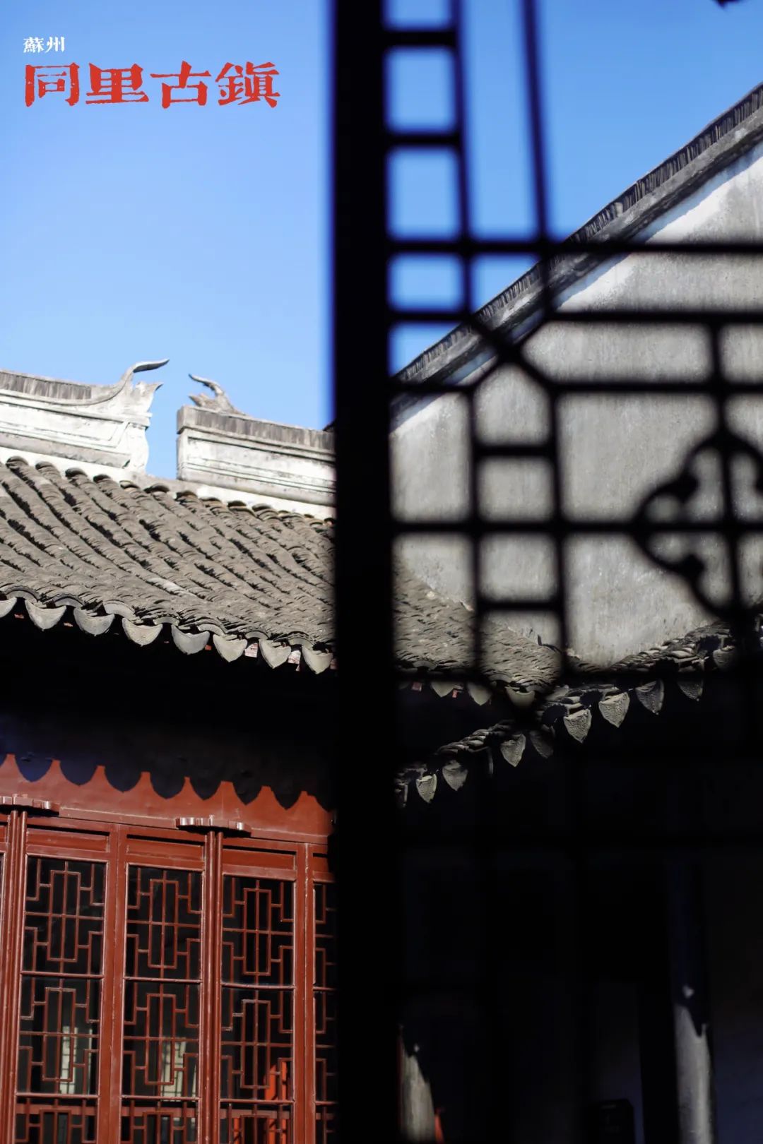 去苏州旅游哪里好玩一日游,苏州江南古镇