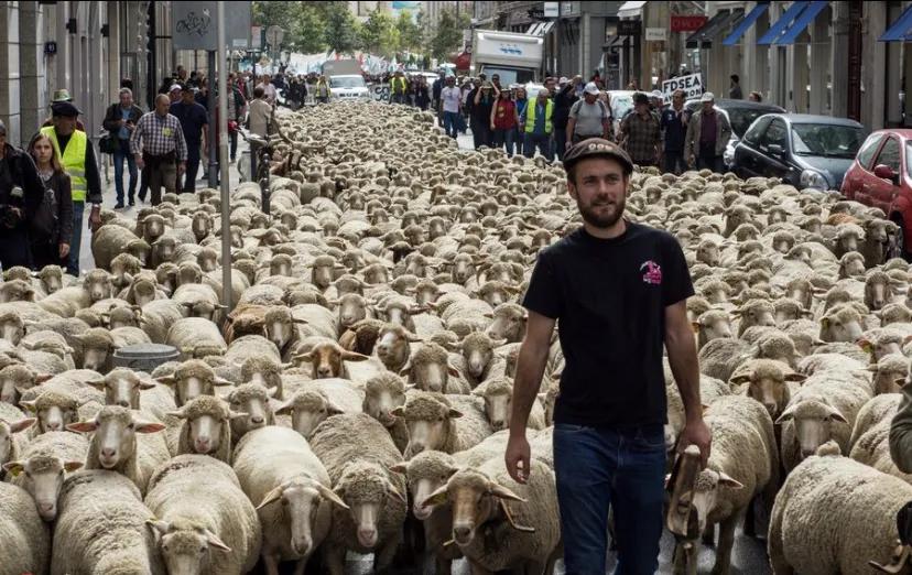 北京将迎来重症高峰,北京第一波感染高峰结束了吗