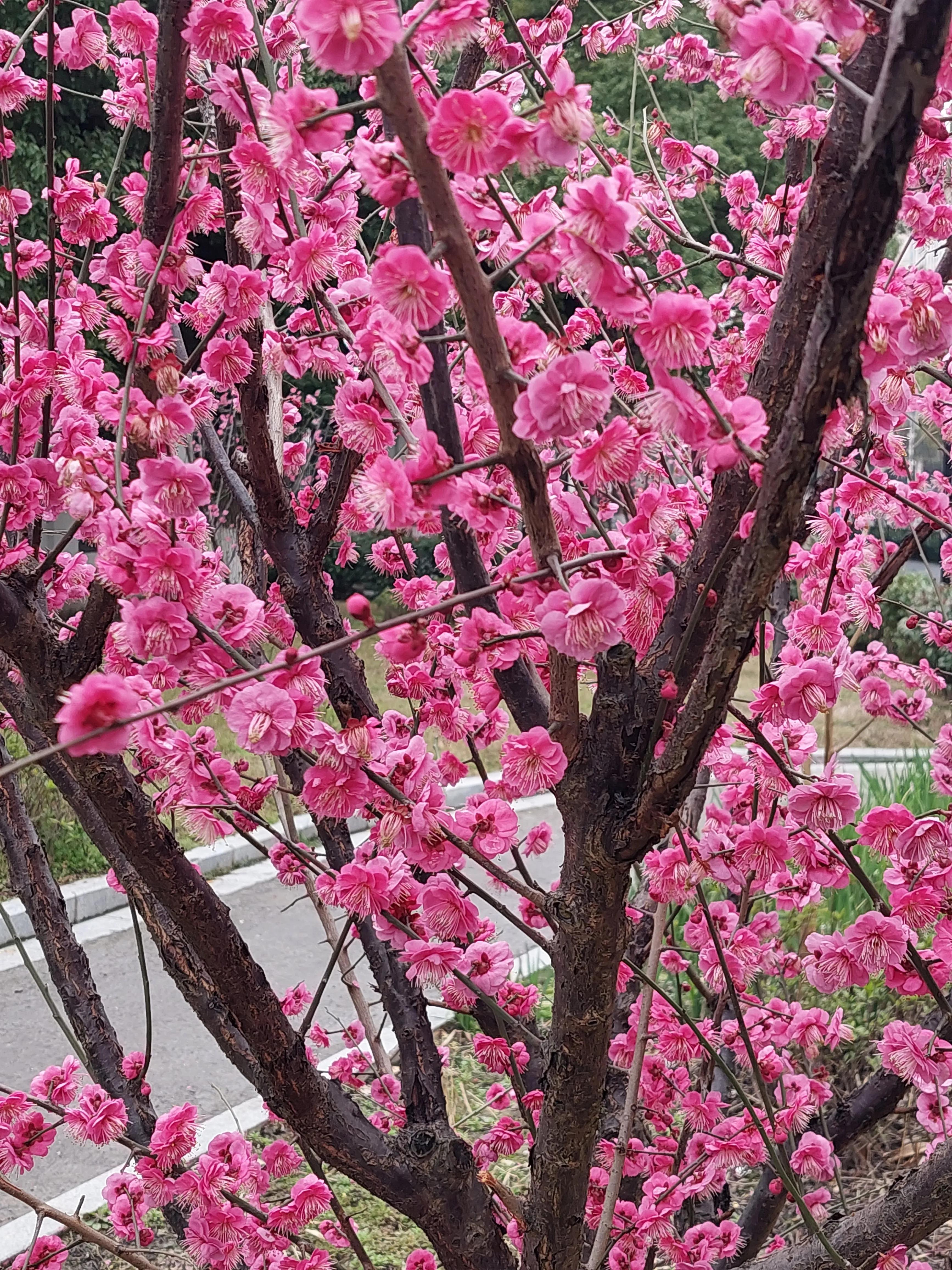 找工作的时候要和hr说工作难找吗,资深hr吐槽3种求职者