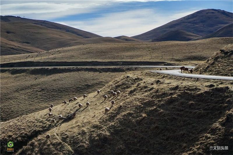 昆明旅行攻略免费景点推荐一日游,云南1至2天旅游推荐