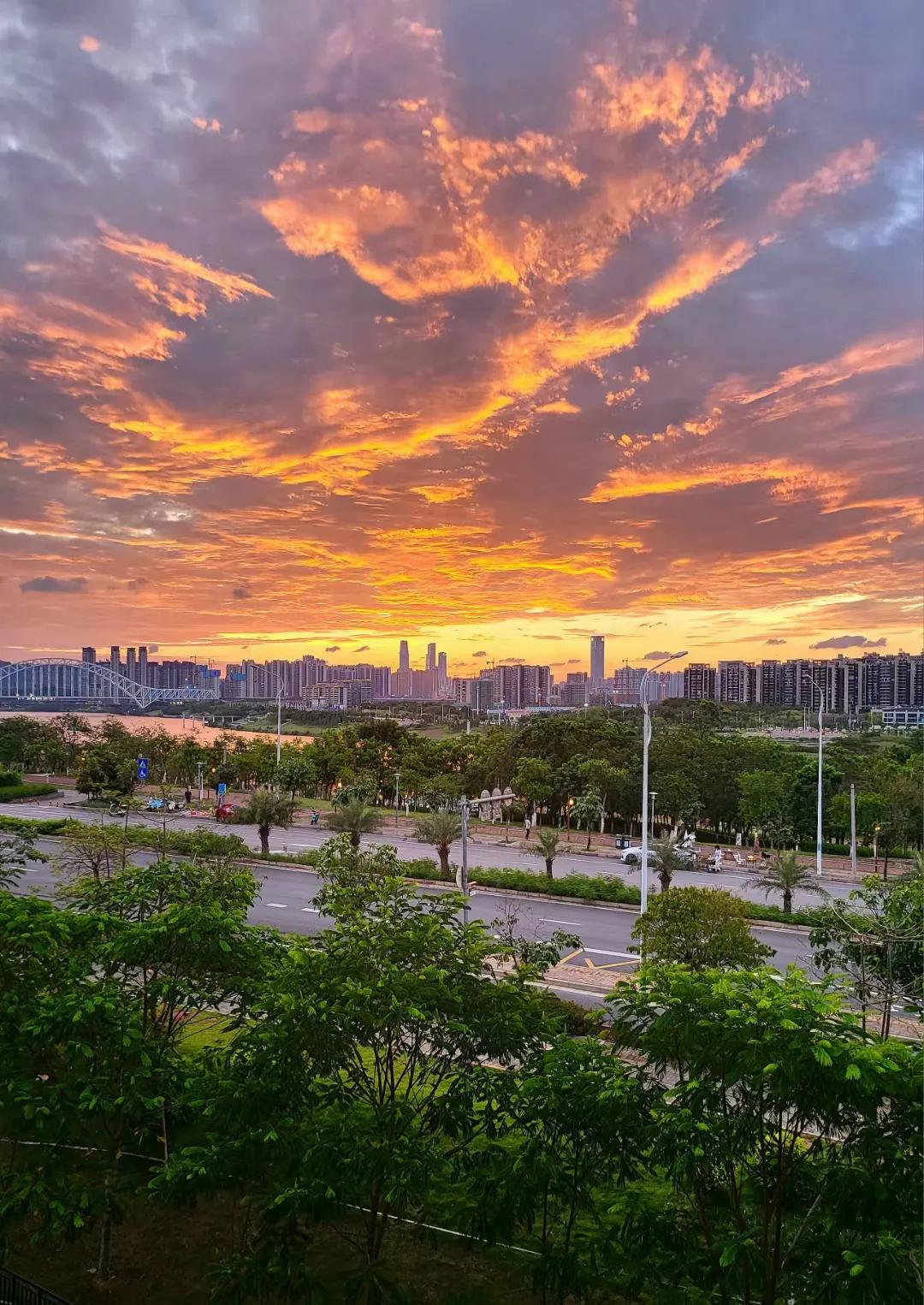 自媒体小白踩坑技巧,自媒体踩过的坑