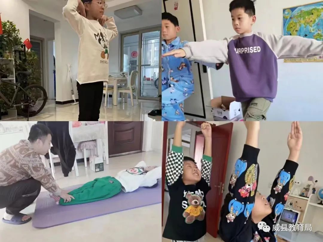 小学学科类网课,小学综合课网课