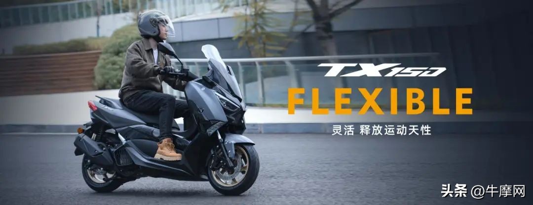 天鹰ts与tt跟tx150踏板区别,天鹰tx150上台阶