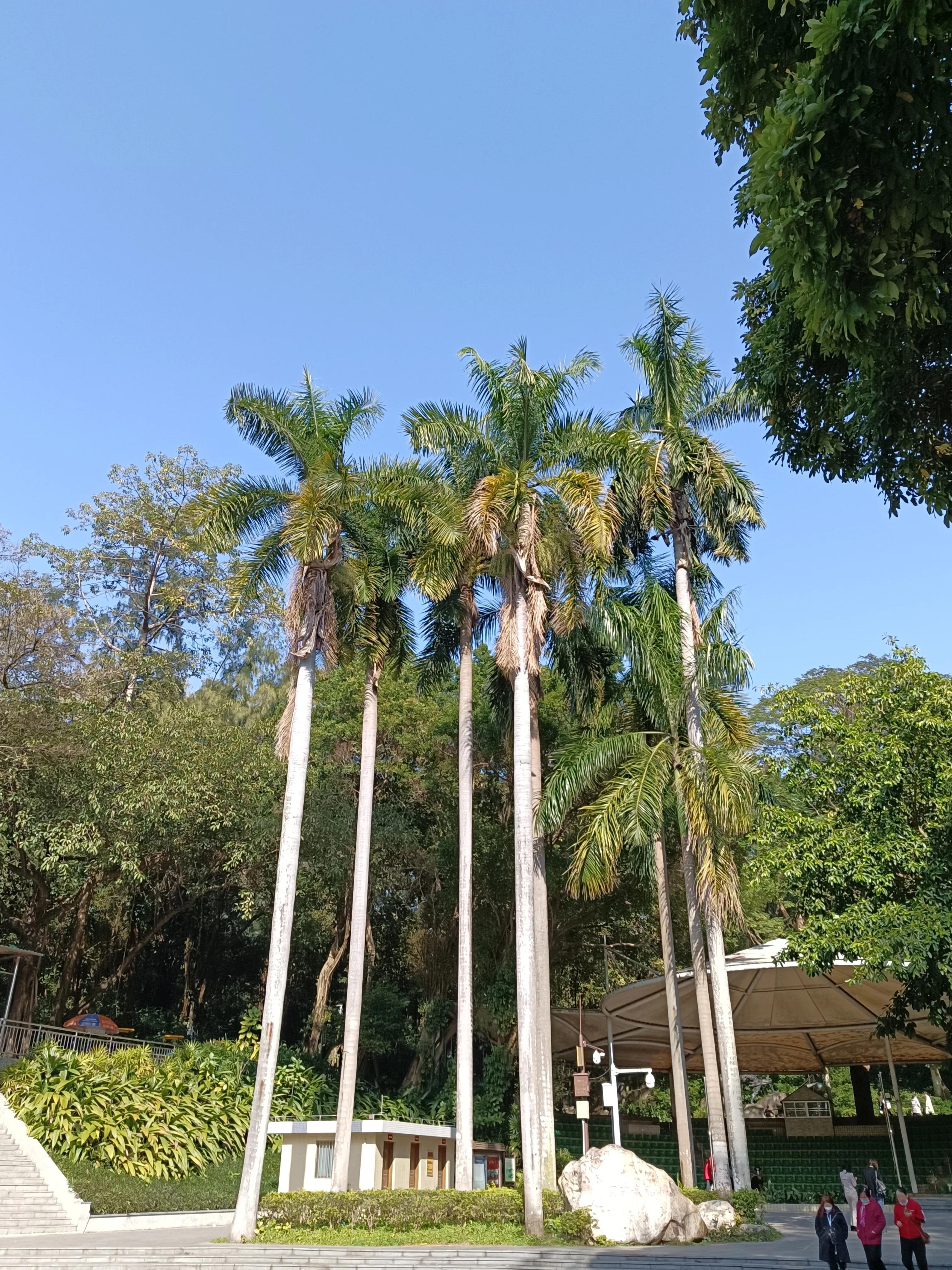 参观广州粤剧博物馆心得,广州旅游全攻略解说