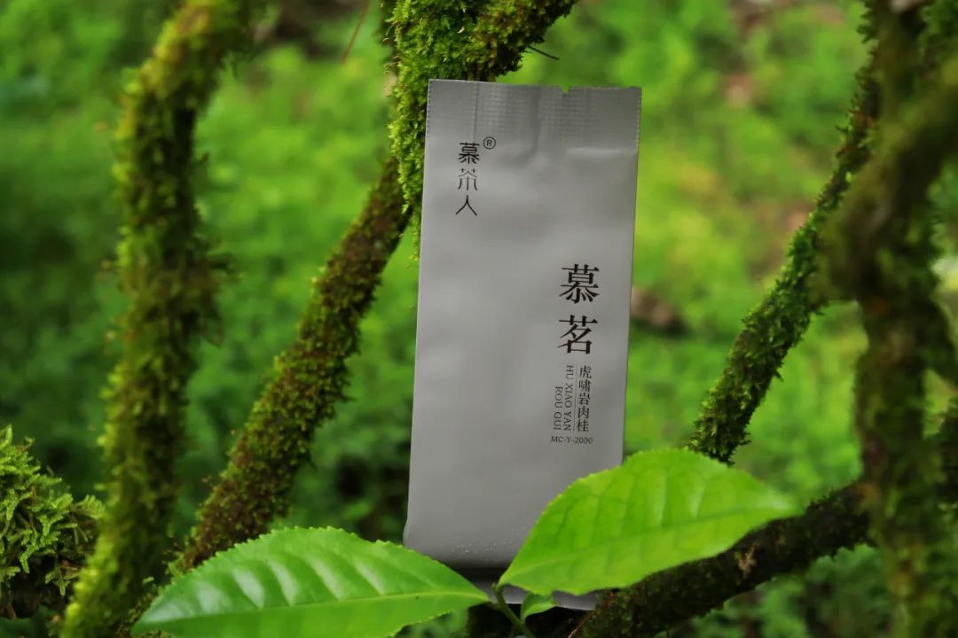 短期喝的茶叶如何存放,茶叶保存的小妙招