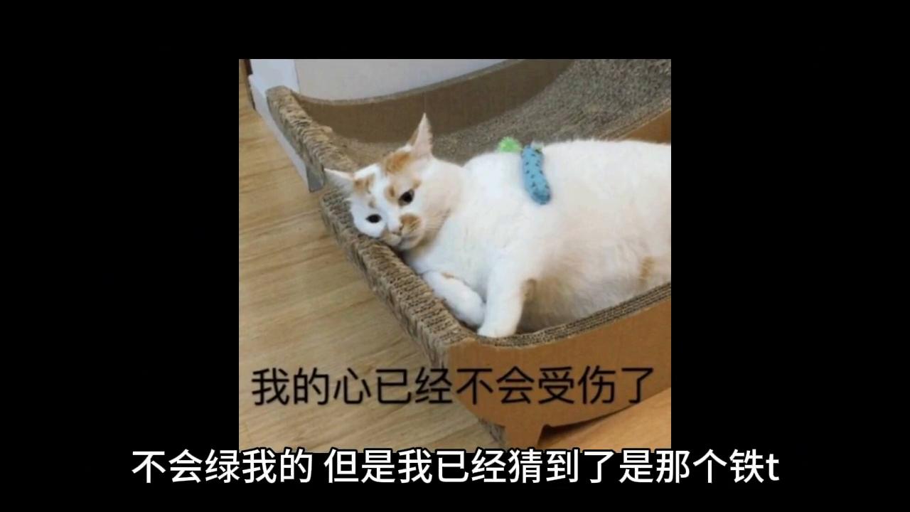 在一起九年的老婆被女同事掰弯了怎么办？#奇葩