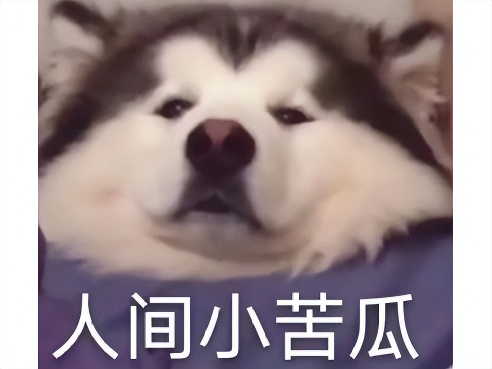 永恒之塔怀旧服动不动就死,永恒之塔怀旧服不动就掉线