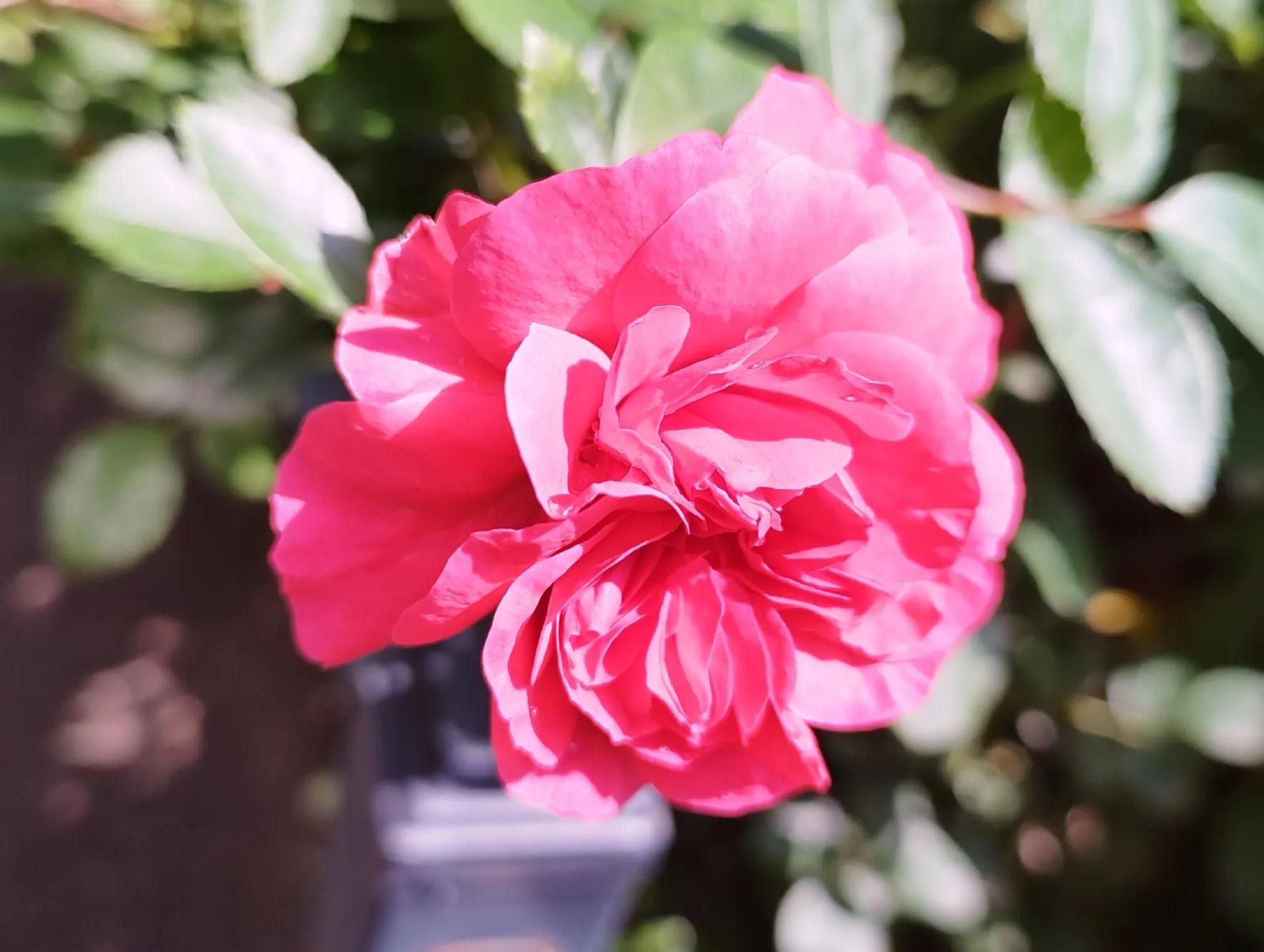 老公总是对孩子大口大叫,挑战30天教孩子写作业不生气