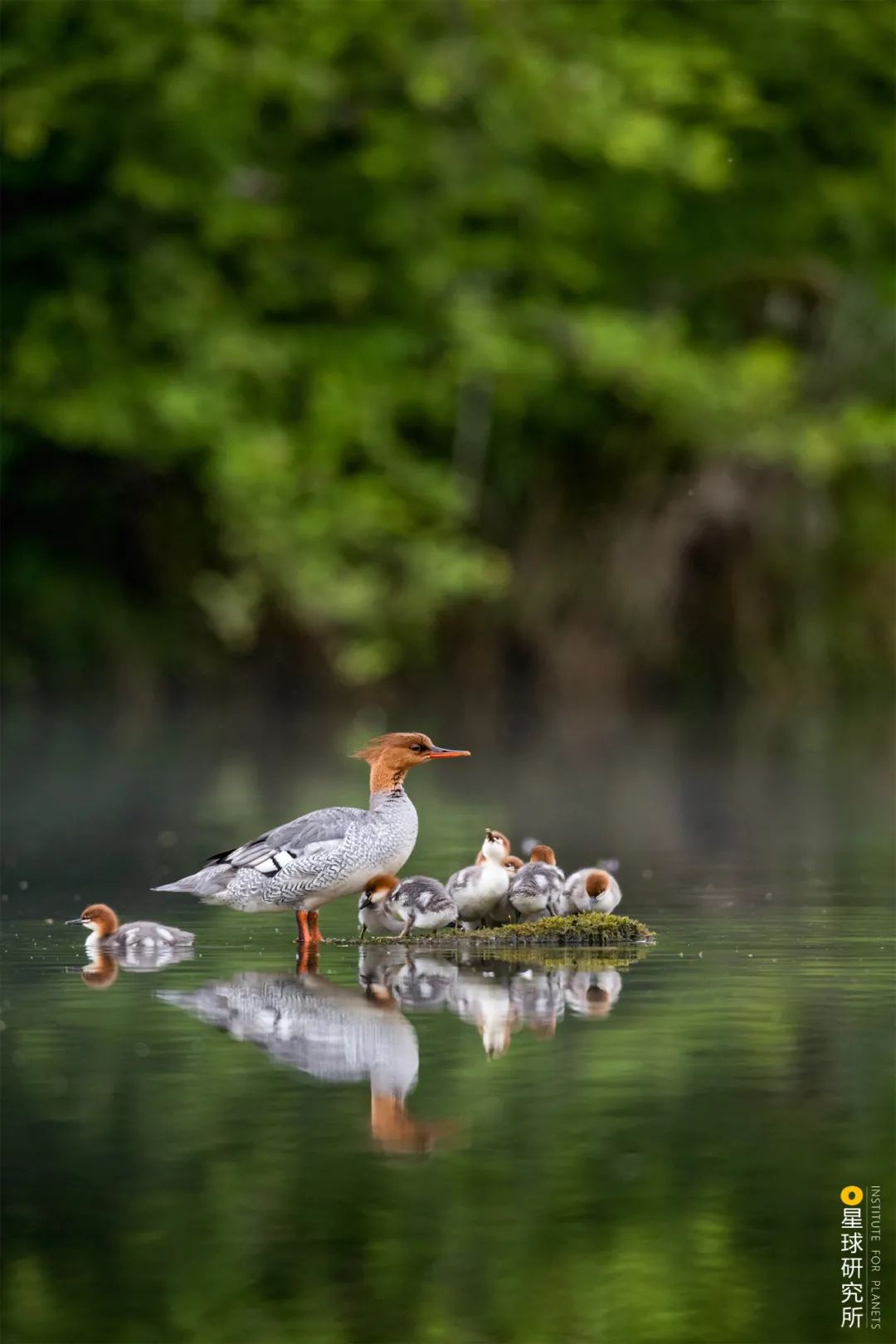 圣山龙脉,龙脉圣地黄帝陵