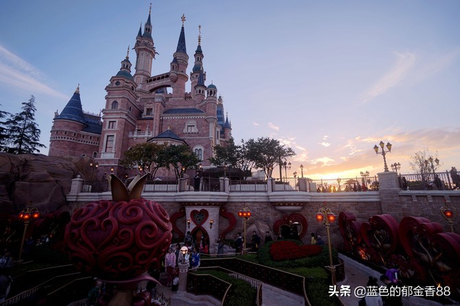 周末白相里的一张床、一群朋友、暴走于迪士尼乐园