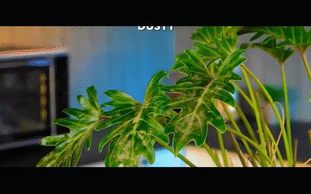 居家生活小技巧解决生活中的烦恼,清洁妙招轻松解决生活中的烦恼