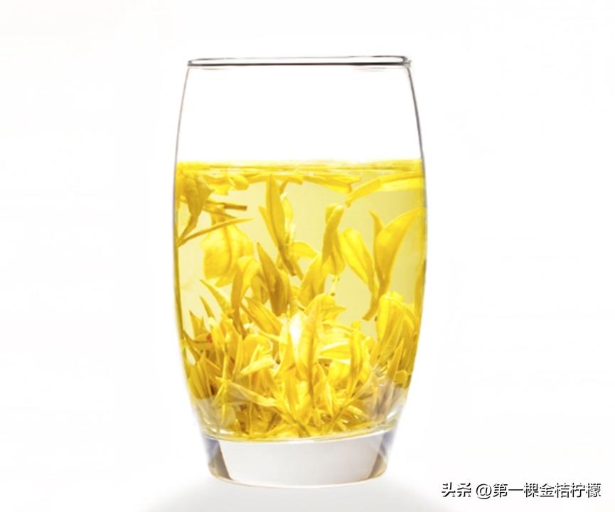 茶叶介绍普洱茶,茶叶介绍