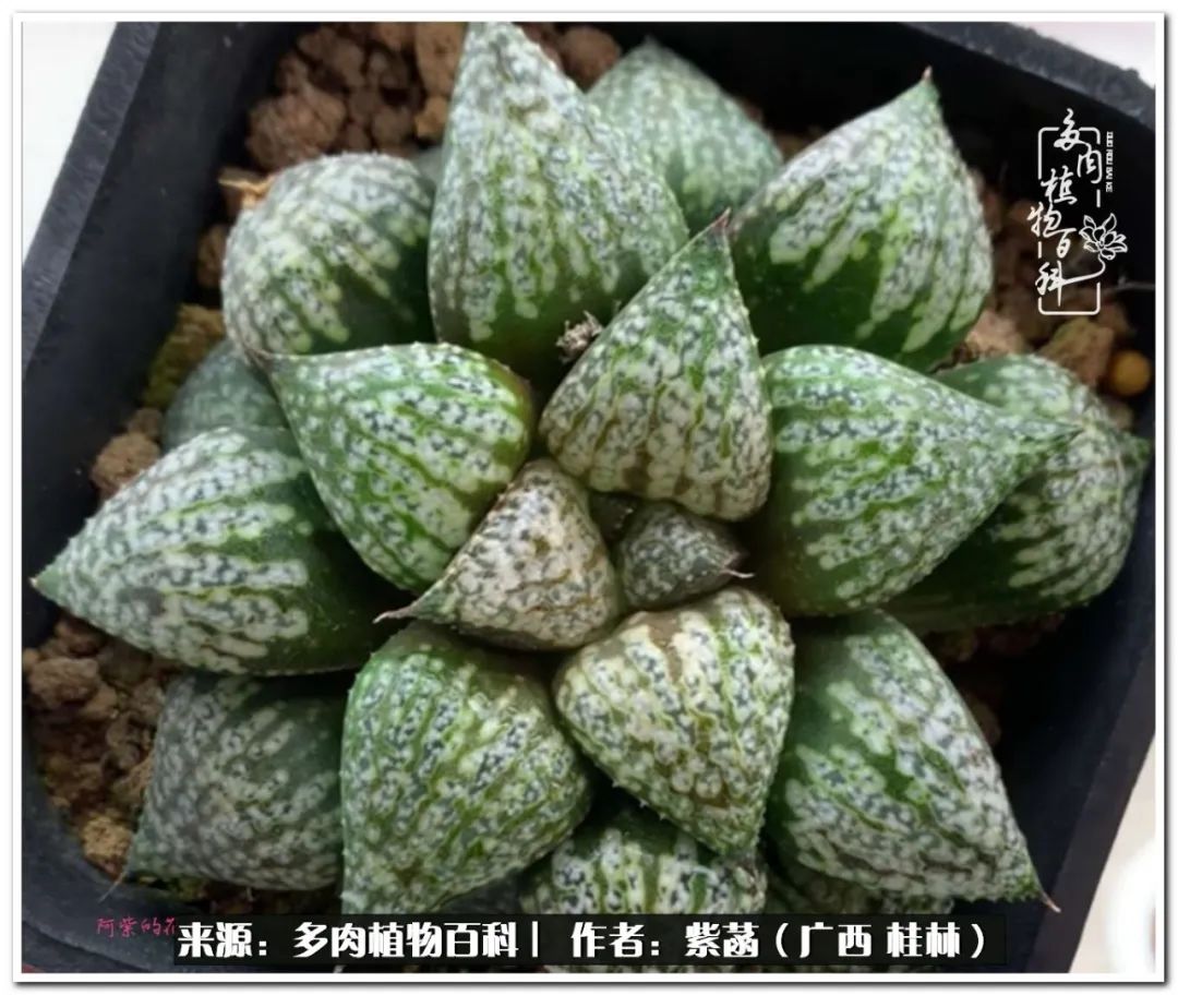 酷暑里的关爱，如十二卷般透亮绵长