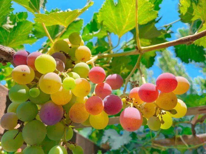 每日一笑精品段子,每日一笑段子