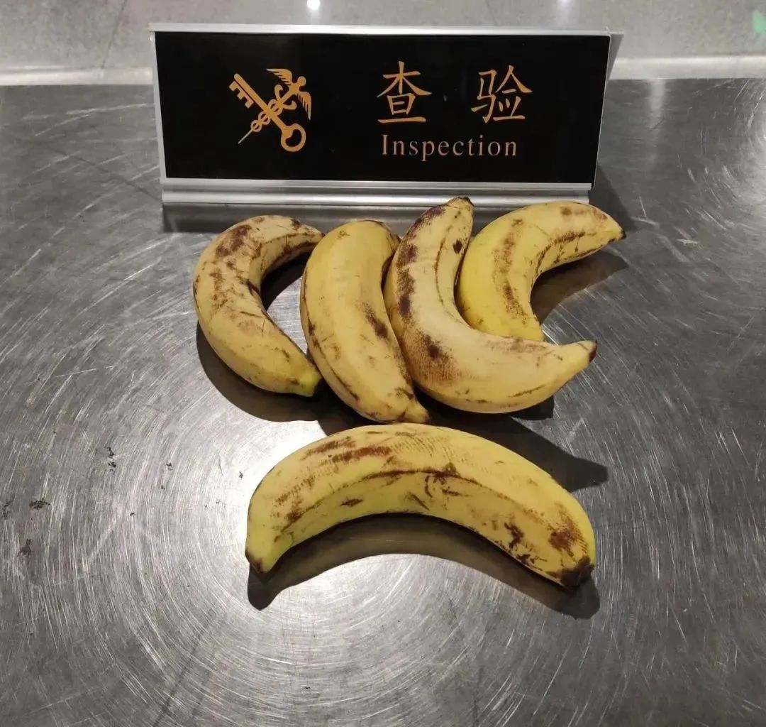 出境需要注意哪些事项,出境入境哪些东西能带哪些不能带