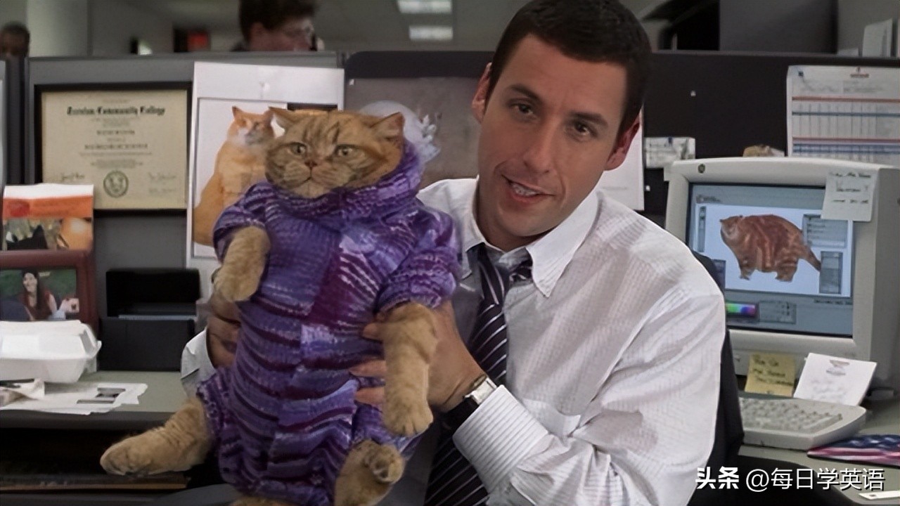 fat是“胖”，cat是“猫”，但是fatcat可不是“胖猫”的意思