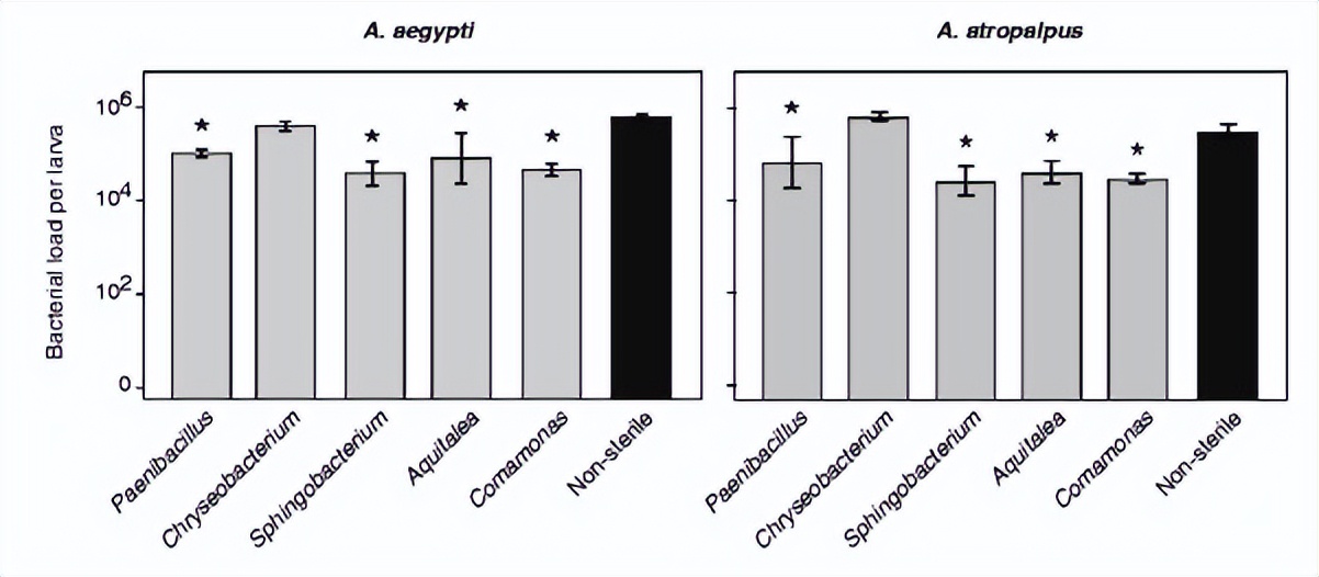 噬菌体侵染大肠杆菌实验细节,肉鸡用噬菌体
