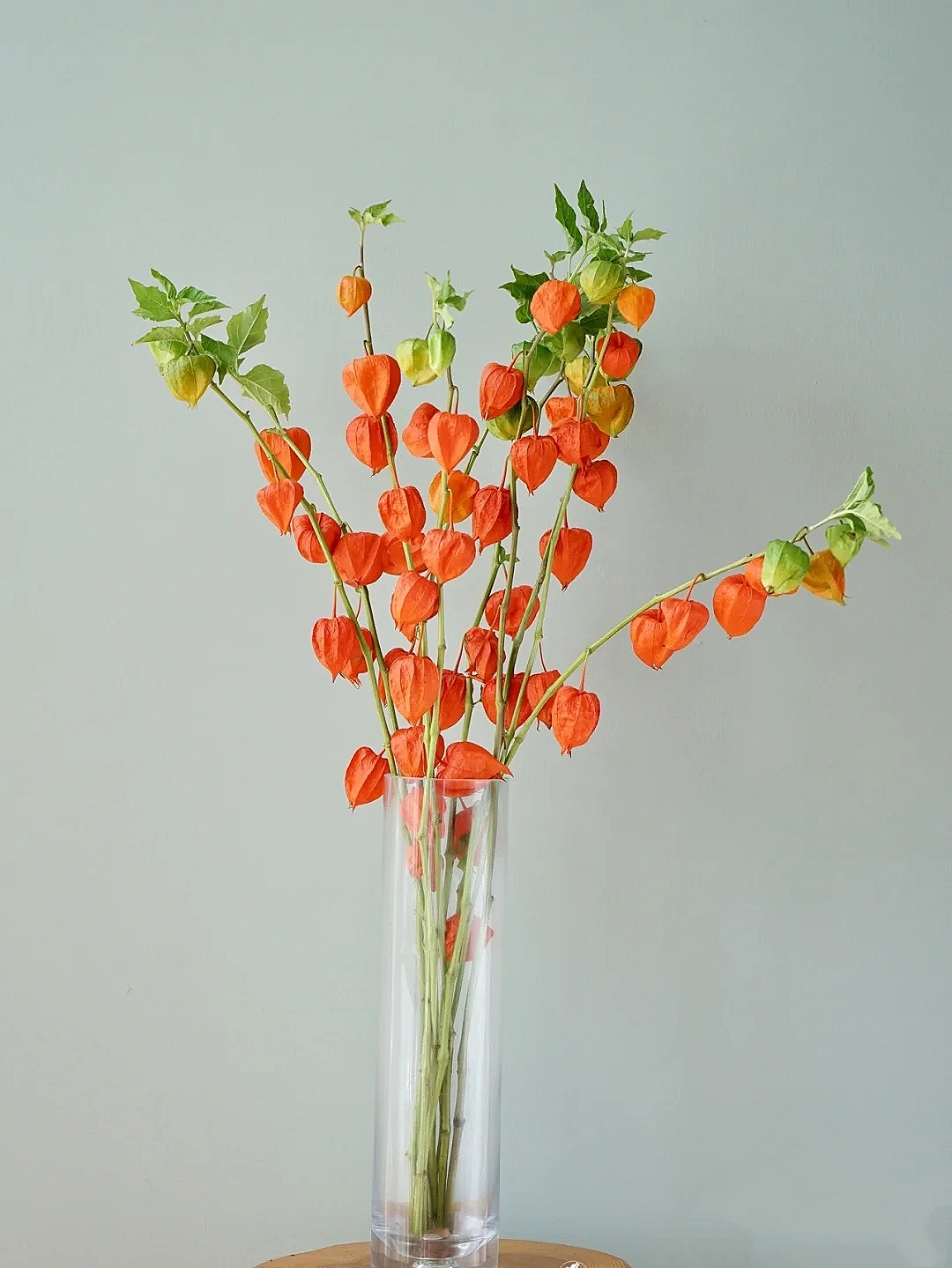 花艺教程花材打理知识,花艺教程常用花材及叶材有哪些