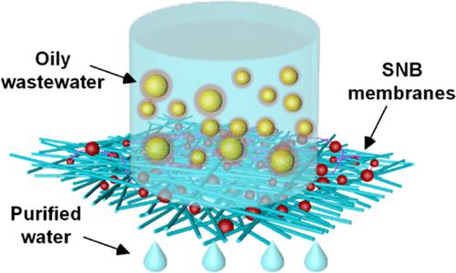 环保壳聚糖基纳米纤维，在处理水污染方面的应用