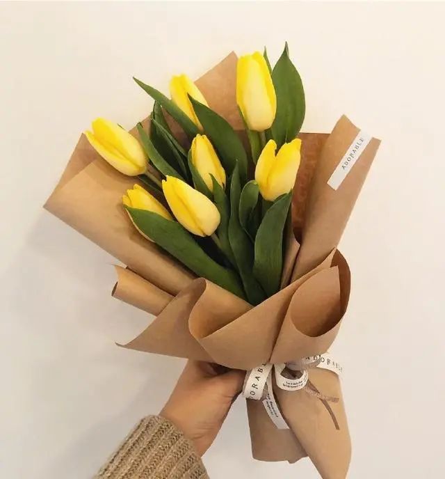 有文化内涵又高雅的句子,有品味有内涵的经典句子