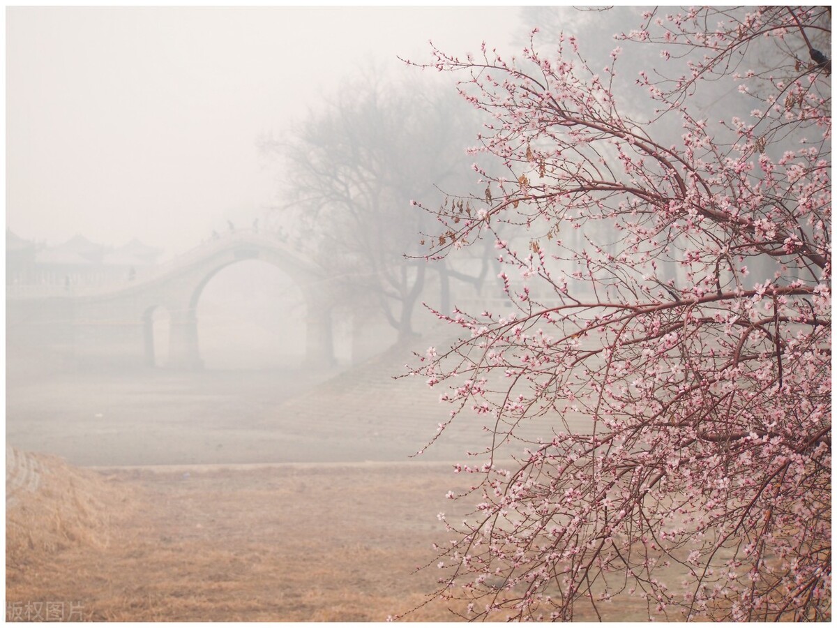 十首古诗离愁,十首最典型的悲秋诗词