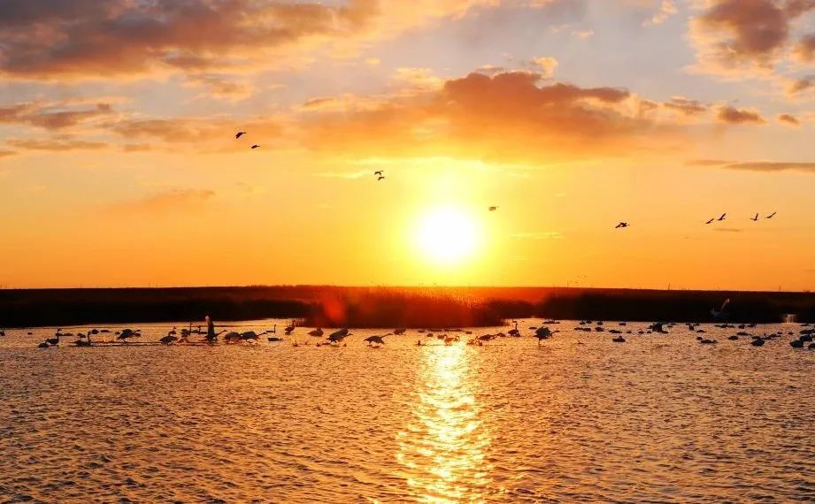 海拉尔四天三夜,海拉尔四季变化明显吗