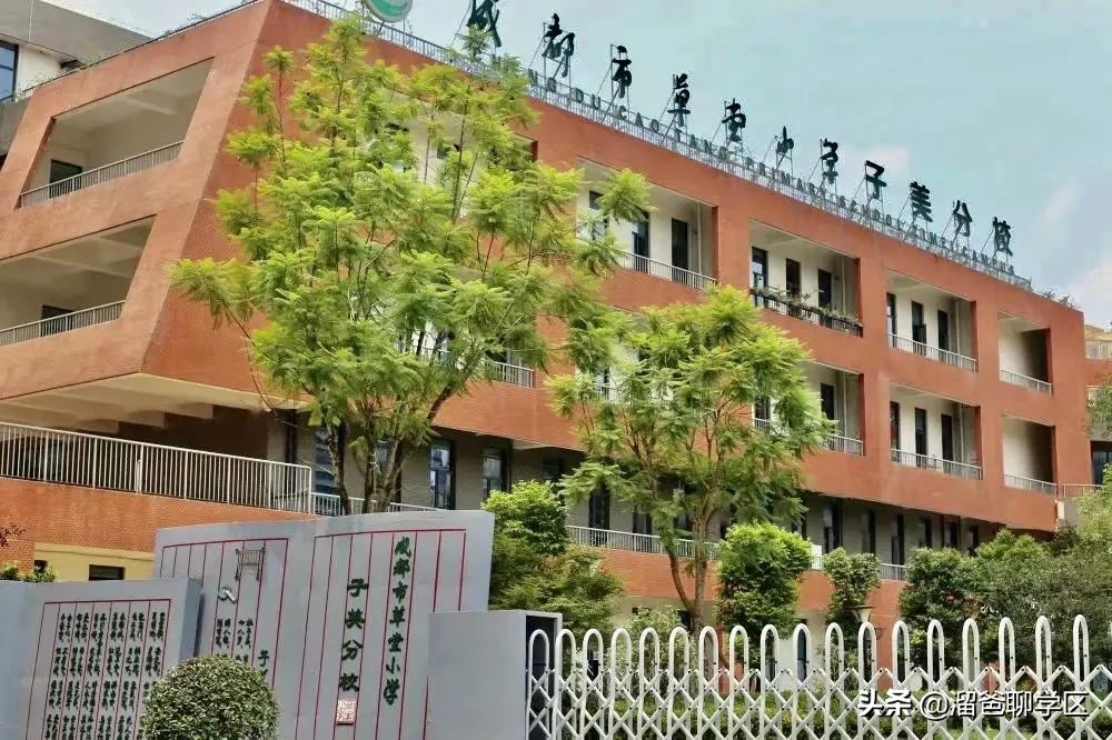 青羊树德实验弘毅校区,树德实验中学弘毅校区怎样