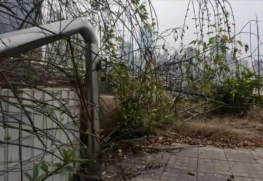 重庆哪些五星级酒店已经倒闭了,重庆倒闭的星级酒店